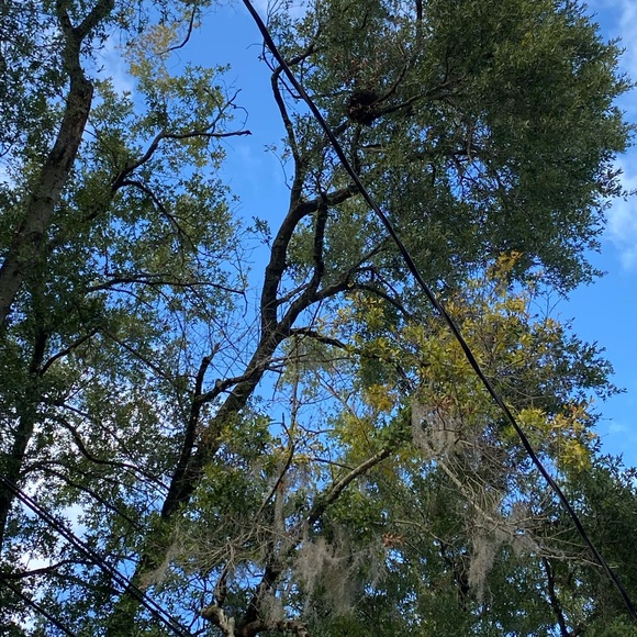 Meet your Posher, Meghan - Picture 5 of 5